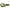 100% Accuri 2 FORECAST Goggle Neon Yel - Clear Len
